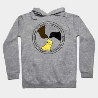 Labradors only come in three colors Hoodie